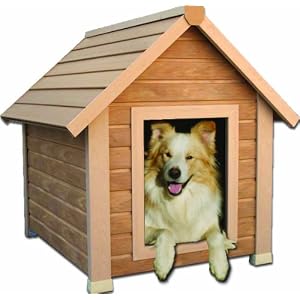 New Age Pet Eco Friendly Bunk House Style Dog House, Small