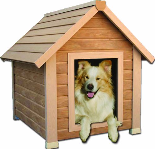 New Age Pet Eco Friendly Bunk House Style Dog House, Small