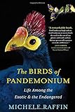 The Birds of Pandemonium