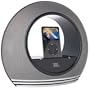 JBL Radial High-Performance iPod Loudspeaker (Black)