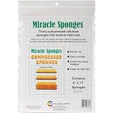Compressed Sponges 8X11 2/Pkg-