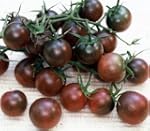 schwarze Cherry-Tomate - s��, aromati...