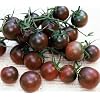 schwarze Cherry-Tomate - s��, aromatisch - Black cherry - 20 Samen