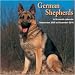 German Shepherds 2010 Wall Calendar