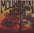 Mountain Home