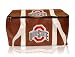 Ohio State Buckeyes Pebble Leather Cooler