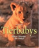 Produkt-Bild: Tierbabys: Kleine Wunder der Natur