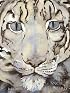 The Snow Leopard