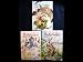 Book Oh My Goddess Set IV (Ninja Master, Miss Keiichi, Devil in Miss Urd) (Oh My Goddess)