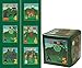 Jungle Learning Cube thumb