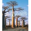 Le tour du monde en 80 arbres