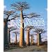 Le tour du monde en 80 arbres