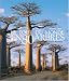 Le tour du monde en 80 arbres