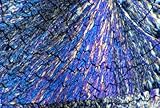 Wallmonkeys Peel and Stick Wall Decals - Cholesterol Crystals Viewed in Polarized Light - 48