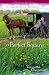 A Perfect Square (A Shipshewana Amish Mystery)