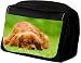 G�rteltasche Cavalier King Charles Spaniel