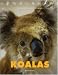 Search : Koalas (The Wild World of Animals)