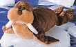 Walton Walrus by Gund