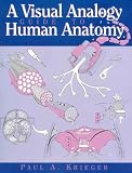 A Visual Analogy Guide to Human Anatomy