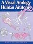 A Visual Analogy Guide to Human Anatomy