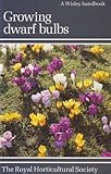 Growing dwarf bulbs