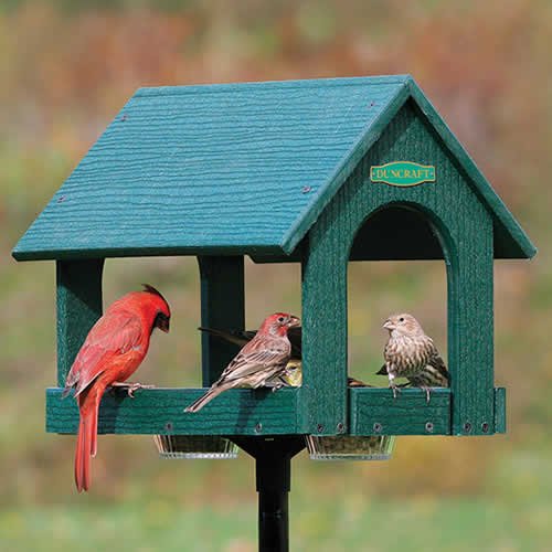 2 Z9cheap Usa Deals Duncraft Eco Fly Thru Platform Bird Feeder