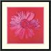 Daisy (pink on red), 1982 Framed Print by Andy Warhol Framed