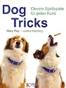 Dog Tricks: Clevere Spaßspiele für jeden Hund