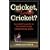 Cricket, Lovely Cricket?: An Addict's Guide to the World's Most Exasperating Game