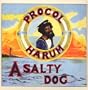 A Salty Dog