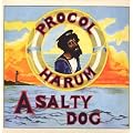 A Salty Dog