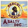 A Salty Dog