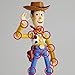 SFX Revoltech SERIES No.010 WOODY new package version
