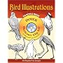 Bird Illustrations (Dover Electronic Clip Art)
