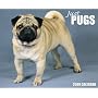 Just Pugs 2009 Calendar