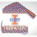 University of Illinois Paper Dinner Napkins (25 count)