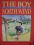 The Boy Who Went to the North Wind (Literacy 2000 Stage 6)