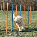 Trixie Agility Slalom, 12 Poles