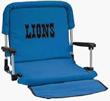 Detroit Lions NFL Deluxe Stadium Seat from North Pole Limited