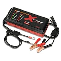 Pulse Tech Battery Maintenance System 100X010