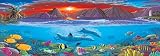 Friends Of The Sea Window Mural