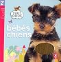 B�b�s chiens