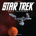Star Trek: 2010 Wall Calendar