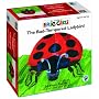 Bad Tempered Ladybird 24 Pc Puzzle