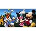 Mickey / Minnie Mouse - Party Backdrop