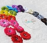 Ema Jane 28 Assorted 'Ema Jane' Boutique Quality Small Gerber Daisy (Double Matching Colors, 2 Sets of 14) Flower Hair Clip Bows - Infants, Baby, Toddlers, Youth, Girls - Hair Clip Attaches to Headbands, Beanies, or Hair (Headbands Not Included)