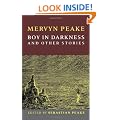 Boy In Darkness and other stories