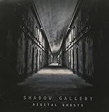 Digital Ghosts by Shadow Gallery (2014-07-29)【並行輸入品】