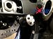 03-06 Honda CBR 600RR Shogun Swing Arm Spools Carbon Fiber