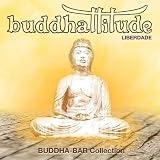 Buddhattitude : Liberdade